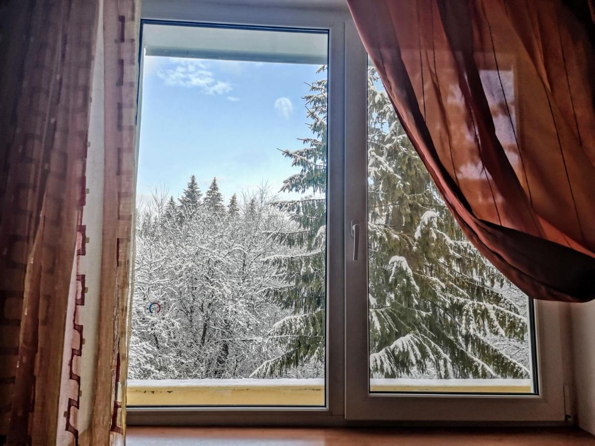 Cosy 2 Rooms Apartment With A View Near The Forest Predeal Zewnętrze zdjęcie
